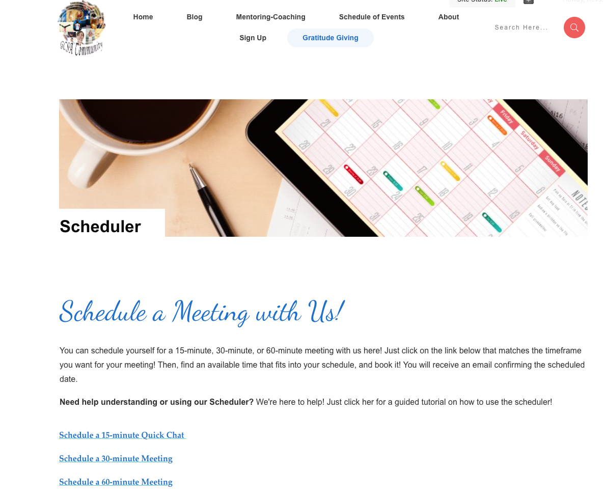 Schedule a meeting-screenshot