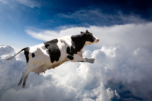 cow-flying-clouds-dreamstime_l_4104683-web