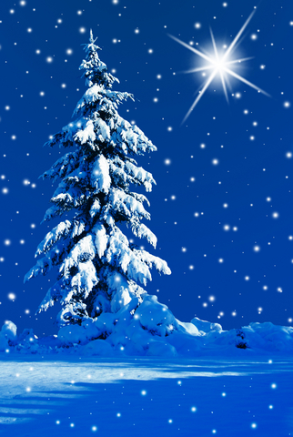 ChristmasTree-Snow-dreamstime_xs_15982079