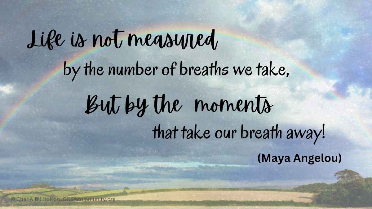 Life is not measured by the number of breaths we take, but by the moments that take our breath away. quote-Maya Angelou