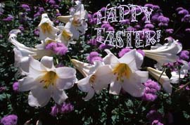 Easter-Lilies-clipart.com