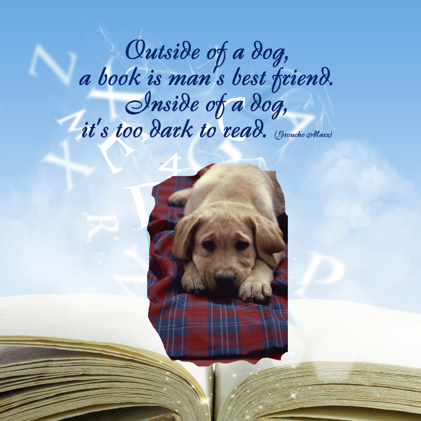 Groucho Marx quote-Outside of a dog, a book is man's best friend. Inside a dog it's too dark to read.