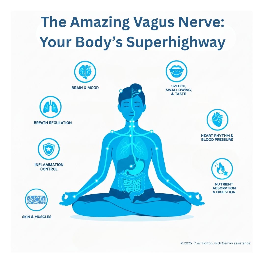 VagusNerve-Roles-Holton-Gemini-2025