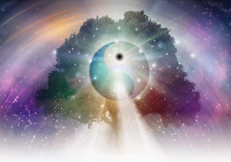 treeOfLife-YinYang-dreamstime_l_189235099-web